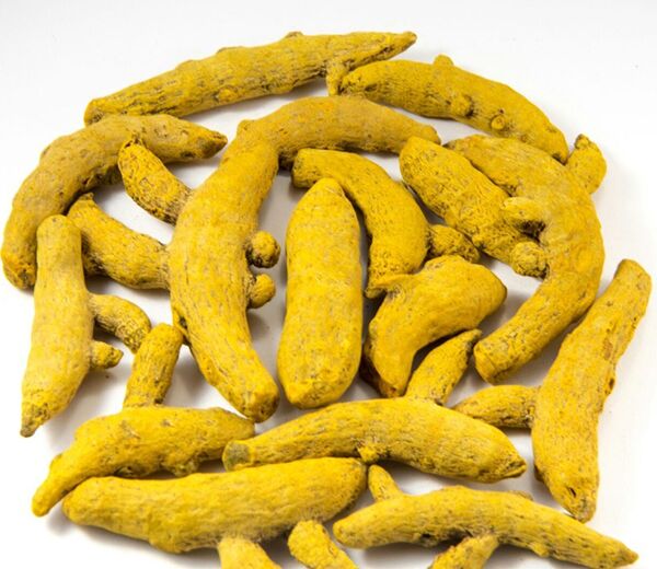 raw turmeric finger