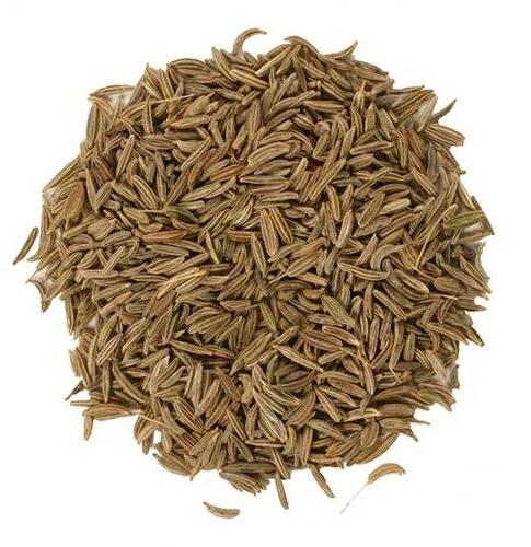 Natural Caraway Seeds, for Food Medicine, Packaging Type : Plastic Packet