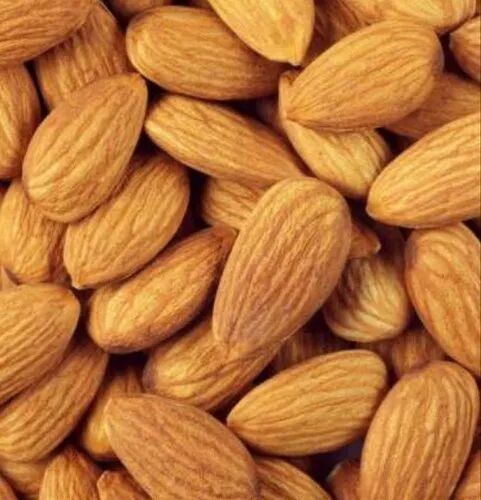 Almond Nut, Packaging Type : Loose