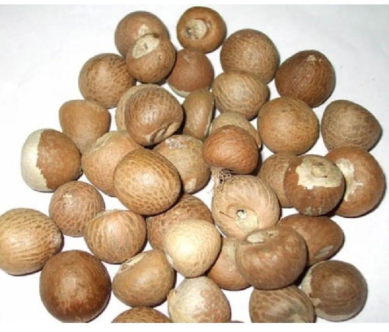 Organic betel nut, Packaging Type : Bag