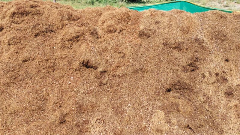 Organic Coco Pith Mix Powder, for Agriculture, Standard : Bio Grade