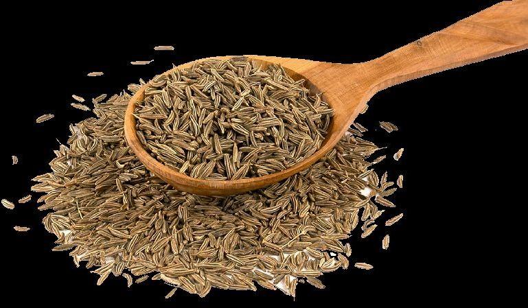 Organic cumin seeds, Grade Standard : Food Grade