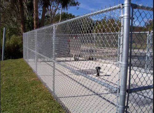 Pvc Coated Chain Link Fence, Surface Treatment : Galvanized