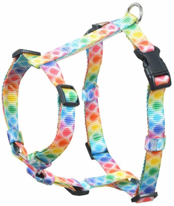 Candy Pop H-type Harness