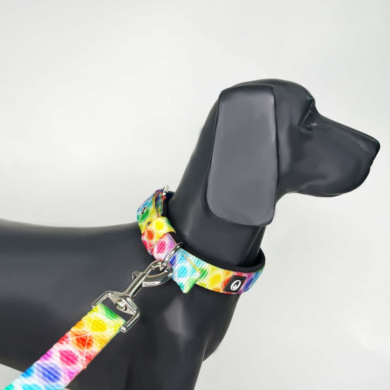 Candy POP Pin Buckle Collar