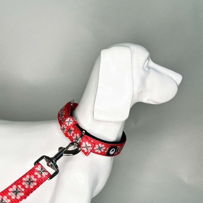 PetNexus Nylon Instalove Pin Buckle Collar