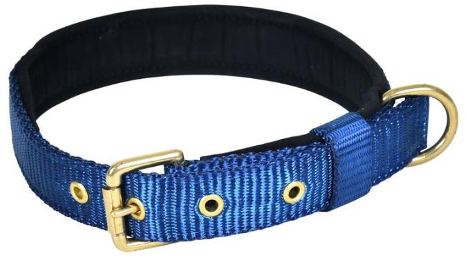 Pin Buckle Dog Collar Neck Belt (Navy Blue)