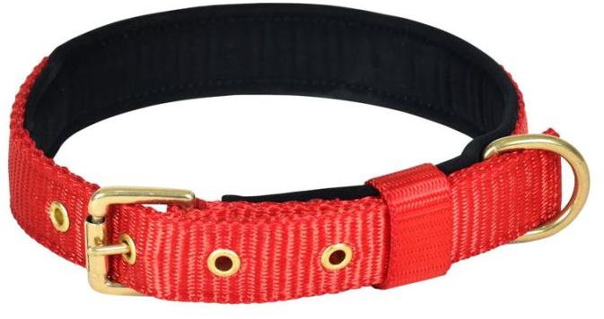 Pin Buckle Dog Collar Neck Belt (Red)