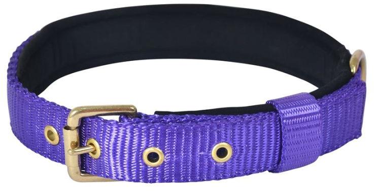 Pin Buckle Dog Collar Neck Belt (Ultra Violet)