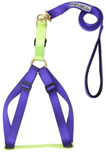 Step-in Harness for  and dog4
