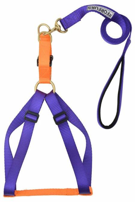 Step-in Harness for Puppy and dog5