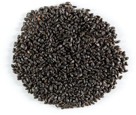 Organic Basil Seeds, for Health Supplement, Medicine, Certification : FSSAI