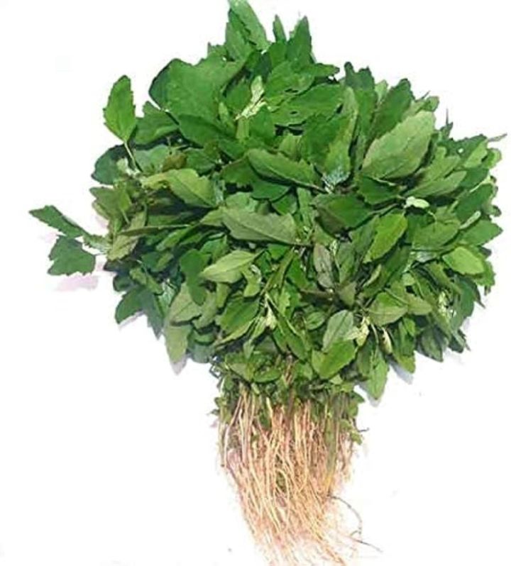 Fresh Bathua Leaves, Color : Green
