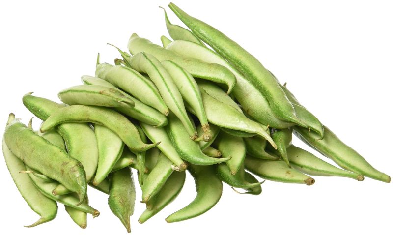 Green Organic Fresh Broad Beans, for Cooking, Style : Natural