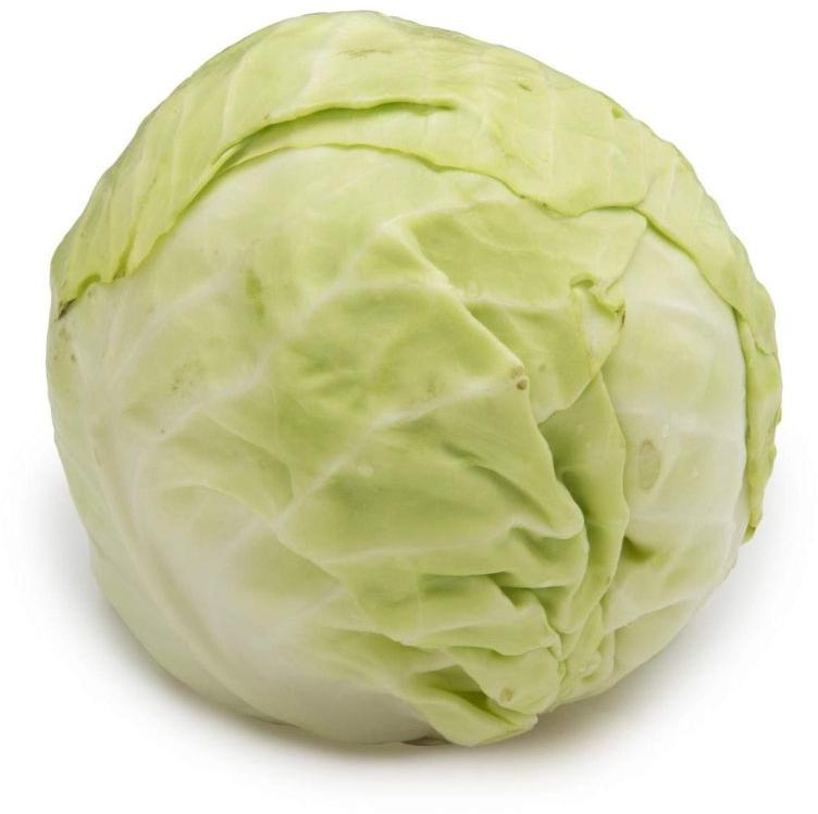 Green Round Organic Fresh Cabbage, for Cooking