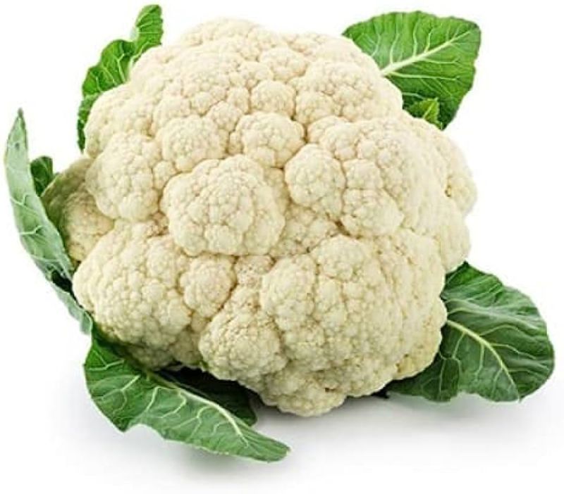 White Round Organic Fresh Cauliflower, for Cooking