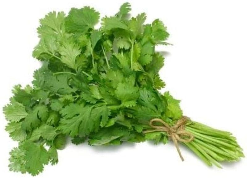 Fresh Coriander Leaves, for Cooking, Color : Green