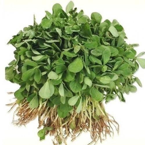 Organic Fresh Fenugreek Leaves, for Cooking, Color : Green