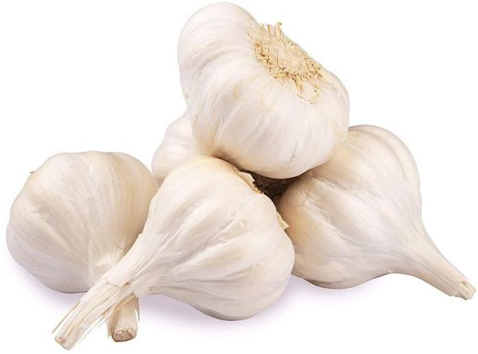 White Organic Fresh Garlic, for Cooking, Style : Natural