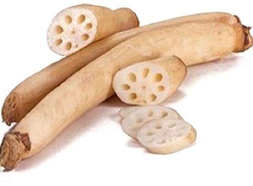 Organic Fresh Lotus Stem, for Cooking