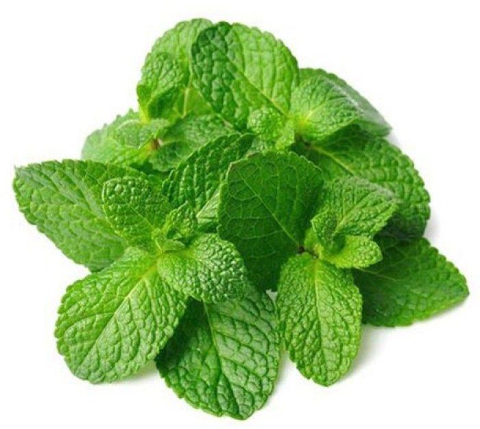 Green Fresh Mint Leaves, for Cooking