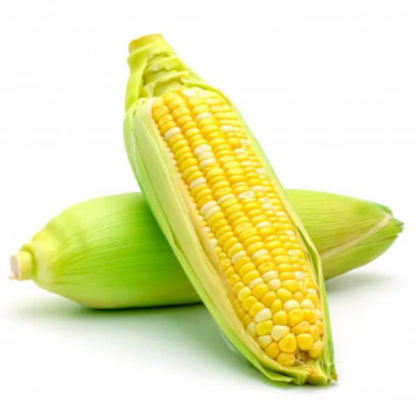 Organic yellow corn, Style : Dried