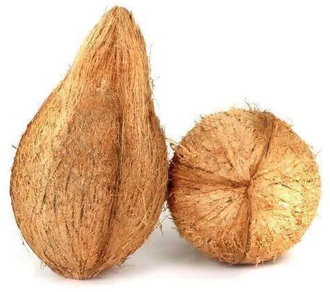 semi husked coconuts