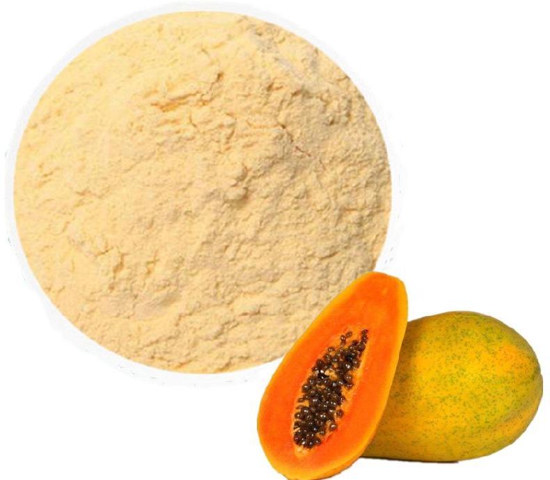 Papaya Powder, for Human Consumption, Packaging Size : 500 Gm - 1 Kg