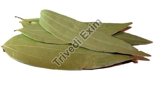 Common Bay Leaf, For Cooking, Spices, Food Medicine, Packaging Type : Paper Box