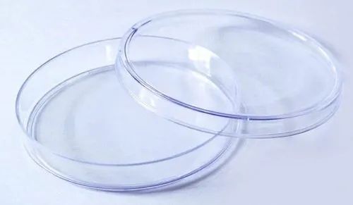 Polished Plastic Petri Dish, Size : 50mm