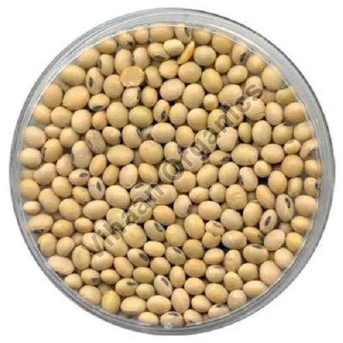 Natural soybean seeds, Packaging Type : Vacuum Pack