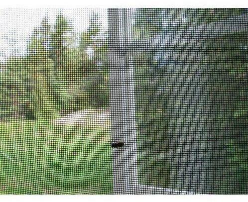 Window Plastic Mosquito Net