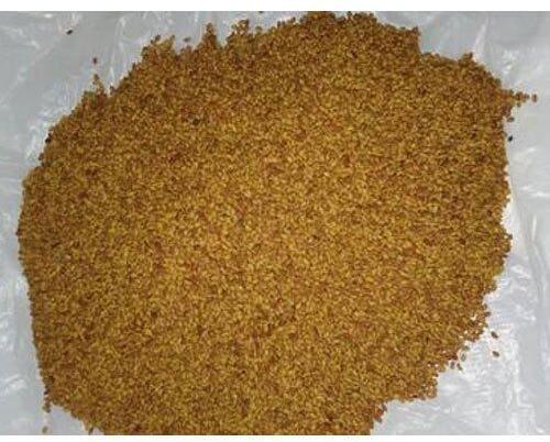 Alfalfa Seeds, Packaging Size : 2 Kg to 100 Kg