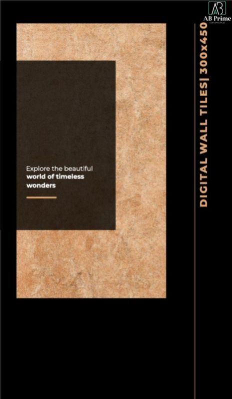 300x450 Matt Series Digital Wall Tile