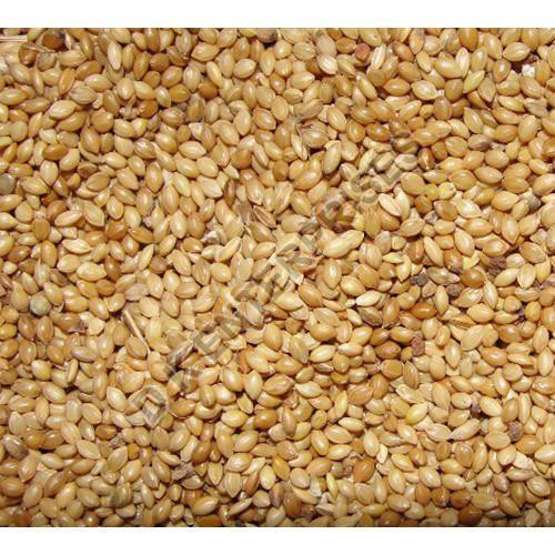 Organic Foxtail Millet Seeds, Purity : 100%