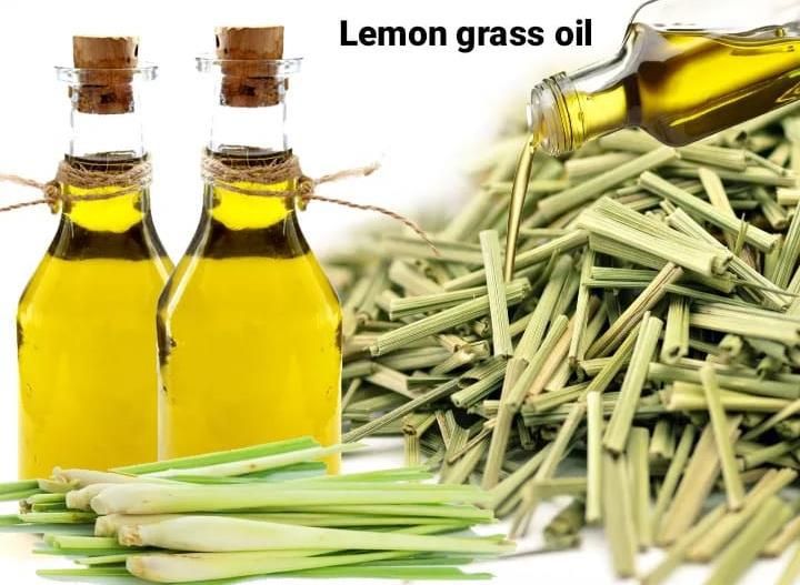 Lemon Grass Oil