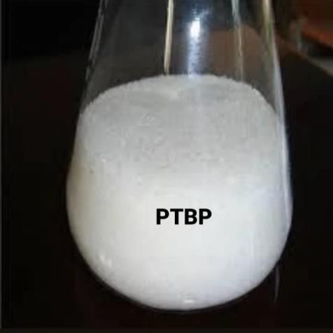 Para-Tert Butylphenol (PTBP)