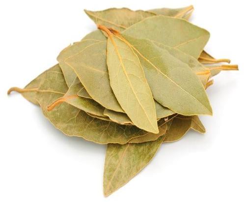 Green Organic Dried Bay Leaves, for Cooking