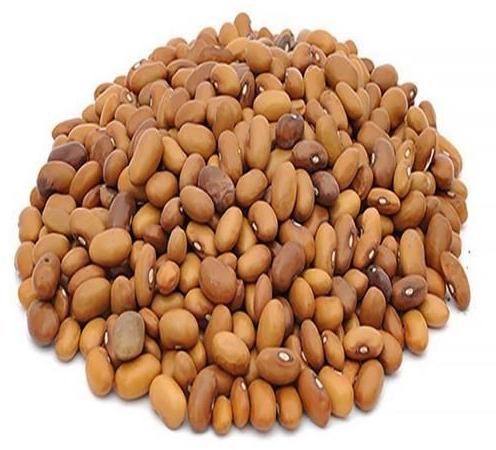 Organic Moth Lentils, for Cooking, Packaging Size : 15kg