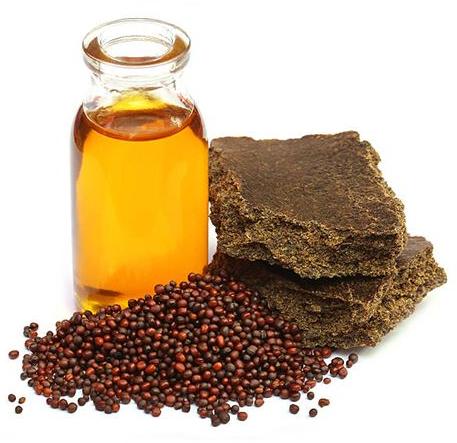 Mustard Oil Seeds