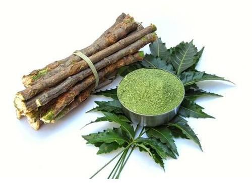 Organic Neem Stick