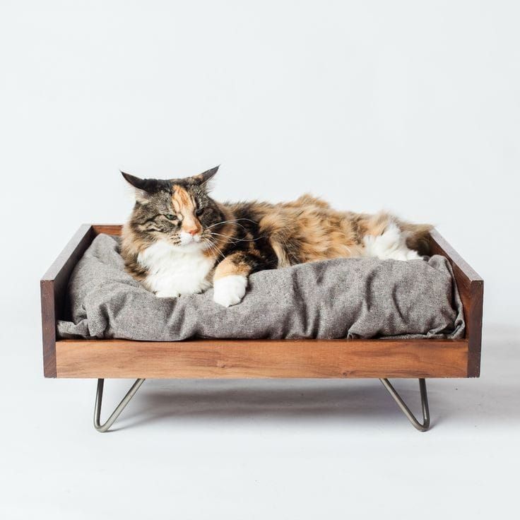 Rectangular wooden pet bed, for Home, Feature : Comfortable, Dry Cleaning