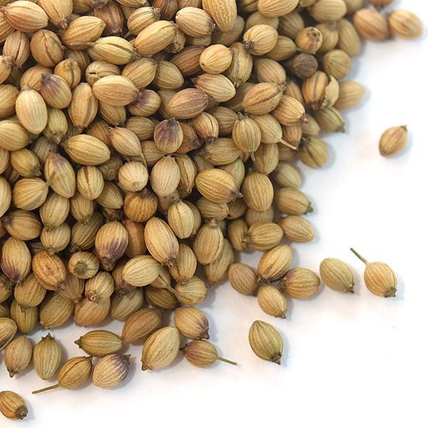 coriander seeds