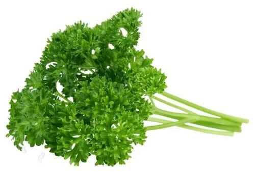 Organic Fresh Parsley Leaves, Color : Green