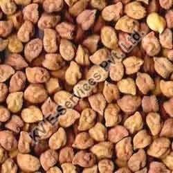 Organic Gram Seeds, for Cooking, Purity : 99.9%