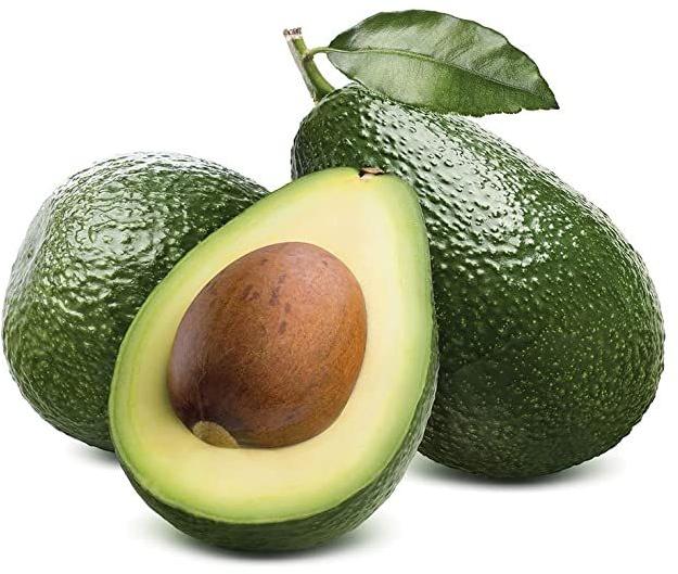 Fresh avocado, Shelf Life : 15 Days