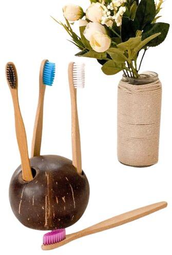 Plain Coconut Shell Toothbrush Holder, Variety : Portable