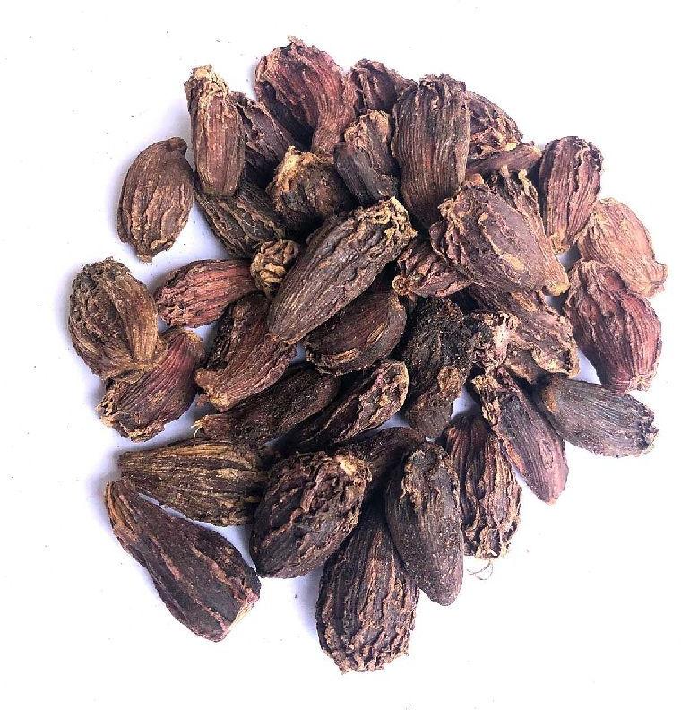 black cardamom