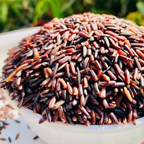 Solid Organic Burma Black Rice, for Human Consumption, Food, Cooking, Packaging Type : Plastic Bags