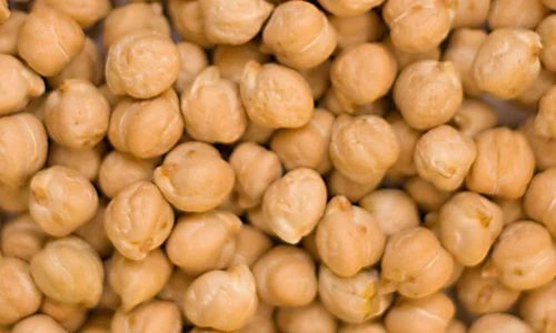 Solid Organic Chickpeas Beans, for Cooking, Variety : Kabuli Chana